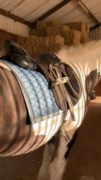 Oornetje en dekje te koop!, Dieren en Toebehoren, Paarden en Pony's | Dekens en Dekjes, Ophalen of Verzenden, Zo goed als nieuw