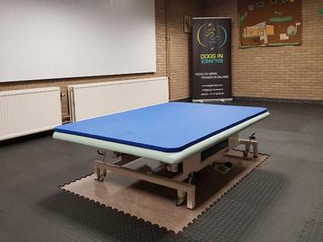 Electrische massage- en behandeltafel 180x180cm beschikbaar voor biedingen