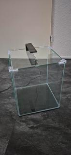 Aquarium Dennerle Nano Cube 30L incl verlichting, Dieren en Toebehoren, Vissen | Aquaria en Toebehoren, Ophalen, Zo goed als nieuw