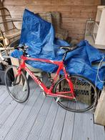 Pinarello Carbon racefiets, Fietsen en Brommers, Fietsen | Racefietsen, 28 inch, Gebruikt, Carbon, 61 tot 65 cm