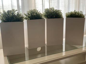 Witte  (crème)  Bloempotten - Set van 4 beschikbaar voor biedingen