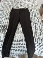 Nieuwe Icon broek te koop, Kleding | Heren, Broeken en Pantalons, Zwart, Icon Amsterdam, Nieuw, Ophalen of Verzenden