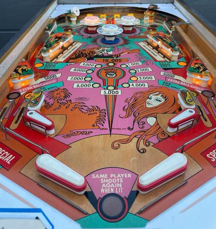 Flipperkast Gottlieb Jungle Queen (1977), Verzamelen, Automaten | Flipperkasten, Gebruikt, Mechanisch, Flipperkast, Gottlieb, Ophalen