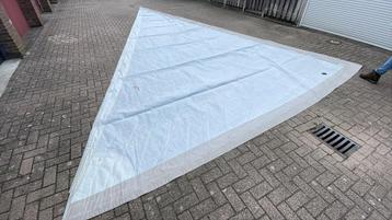 Prachtige Rolgenua (voorlijk 10,45m)  beschikbaar voor biedingen