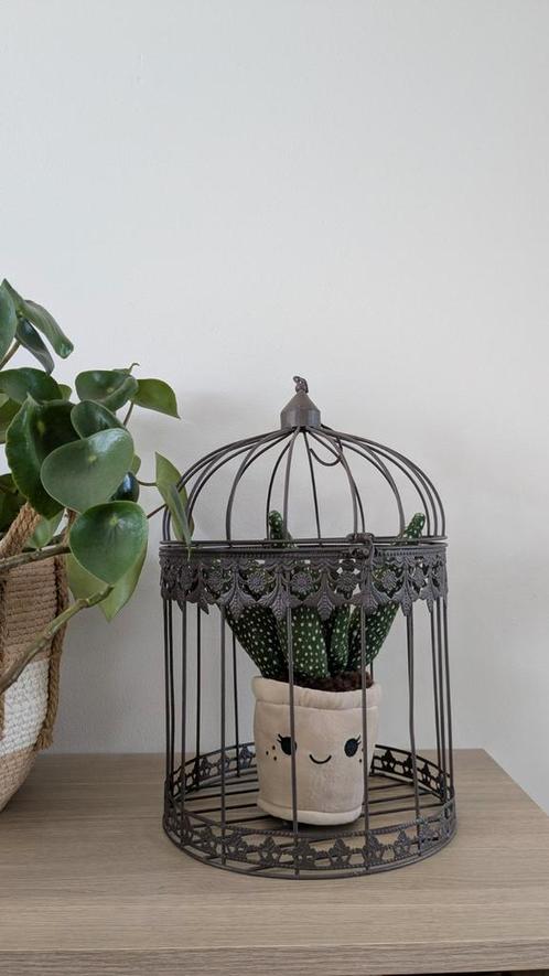 Decoratief kooitje, Huis en Inrichting, Woonaccessoires | Overige, Zo goed als nieuw, Ophalen