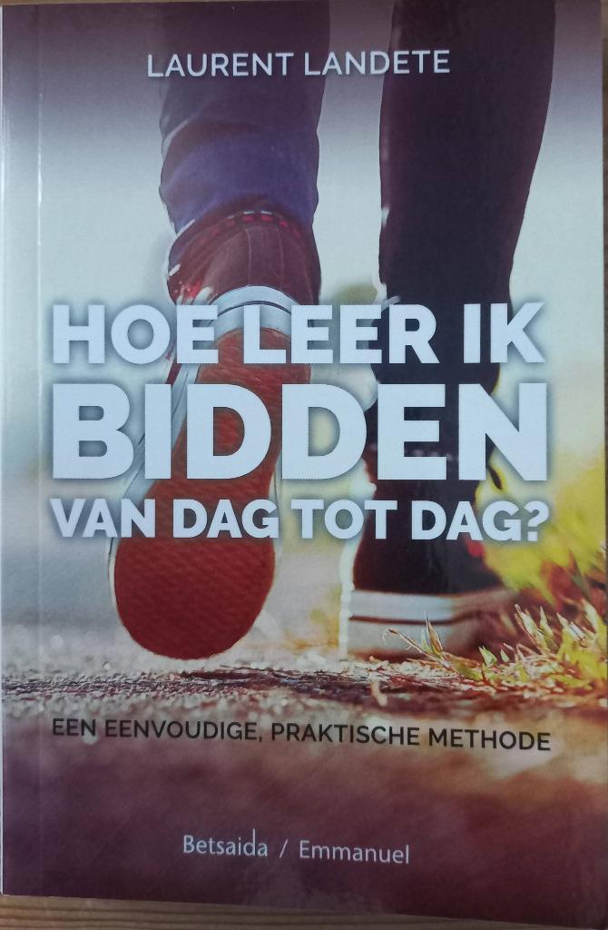 Hoe leer ik bidden van dag tot dag? Laurent Landete, Boeken, Godsdienst en Theologie, Zo goed als nieuw, Christendom | Katholiek