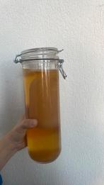 Kombucha SCOBY’s met startersvloeistof, Diversen, Levensmiddelen, Ophalen