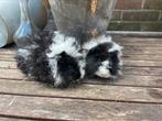 Twee Lunkarya cavia broertjes, Dieren en Toebehoren, Cavia, Mannelijk, Juli, Tam
