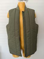 Nieuwe bodywarmer van Hema maat L, Hema, Maat 52/54 (L), Nieuw, Ophalen of Verzenden