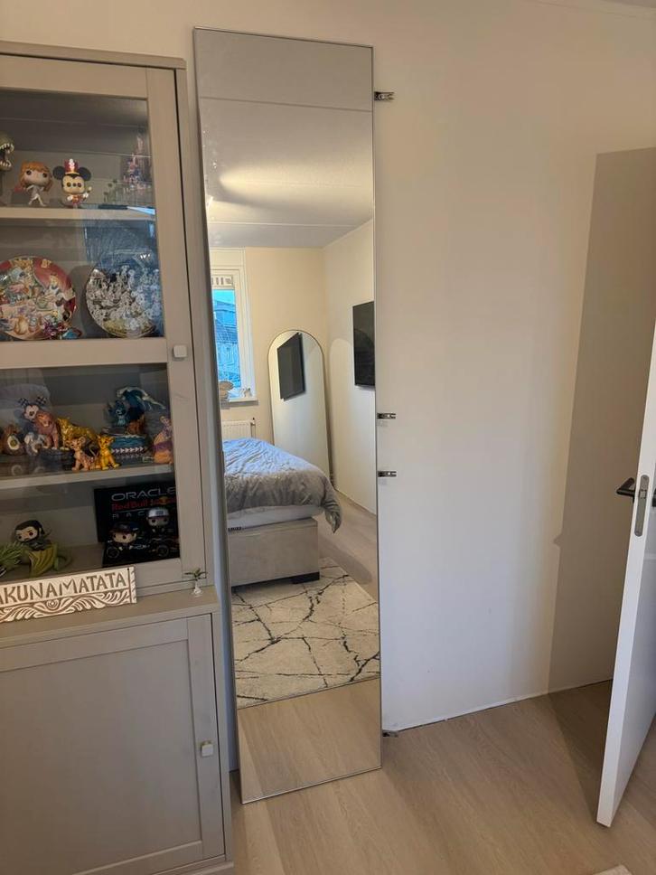 Ikea Pax Aheim deur 50x229, Huis en Inrichting, Woonaccessoires | Spiegels, Gebruikt, 50 tot 75 cm, 200 cm of meer, Rechthoekig