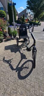 Huka Cortes elektrische driewielfiets, Ophalen