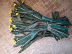 Ritsen metaal diverse lengtes mosgroen, Hobby en Vrije tijd, Naaien en Fournituren, Ophalen of Verzenden, Nieuw, Rits of Sluiting