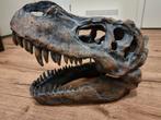 T-Rex Schedel Replica - Indrukwekkend Decoratieobject, Ophalen of Verzenden, Nieuw, Schedel