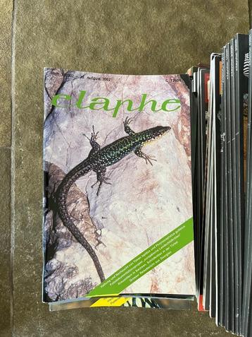 Collectie tijdschriften Elaphe 2002-heden beschikbaar voor biedingen