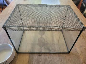Glazen terrarium met metalen deksel beschikbaar voor biedingen
