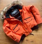 Ski pak Superdry jas oranje & Protest broek zwart, Ophalen of Verzenden, Zo goed als nieuw, Maat 36 (S), Pak