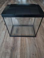 Superfish Aquarium 36 x 22 cm, Dieren en Toebehoren, Vissen | Aquaria en Toebehoren, Ophalen, Leeg aquarium