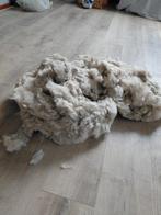 Gewassen alpacawol, Hobby en Vrije tijd, Spinnewielen en Spinnen, Ophalen of Verzenden, Spinwol