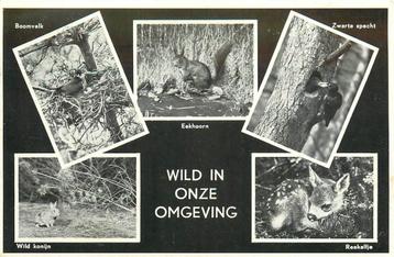 (387-181-037) Epe Wandelpaadje op de Renderklippen beschikbaar voor biedingen