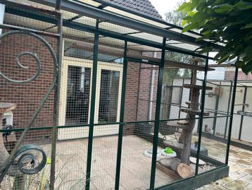 Voliere/kattenren beschikbaar voor biedingen