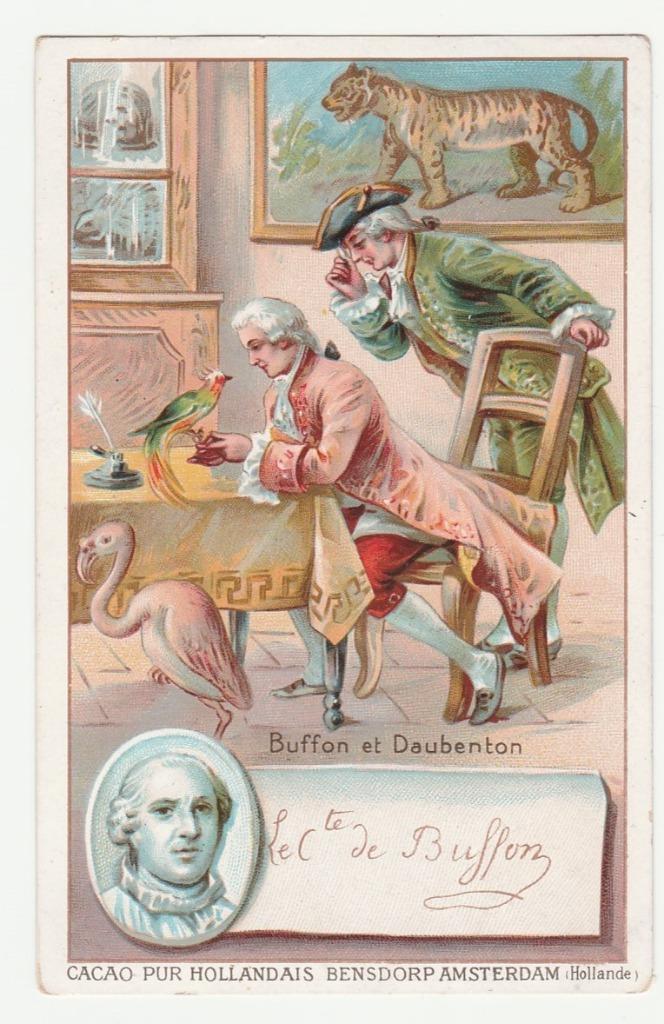 Reclame.  Cacao Bensdorp.   Buffon et Daubenton., Verzamelen, Ansichtkaarten | Themakaarten, Voor 1920, Overige thema's, Verzenden