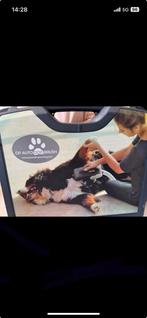 Petit dog brush, Dieren en Toebehoren, Honden-accessoires, Ophalen, Zo goed als nieuw