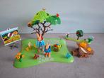 Playmobil Konijnenschool Set, Ophalen of Verzenden, Gebruikt, Los playmobil