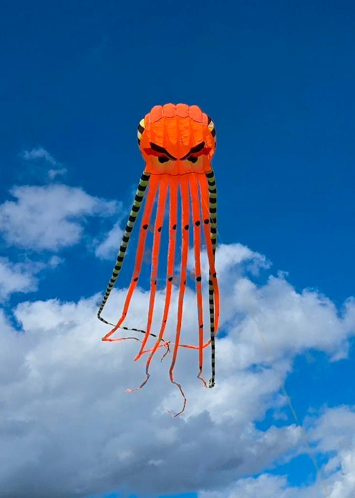 Oranje Octopus Vlieger circa 10 meter lang, Sport en Fitness, Vliegeren, Nieuw, Vlieger, Eenlijns, Ophalen of Verzenden