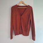 Cognackleurig vestje met lange mouwen maat 42/44, Bruin, Maat 42/44 (L), Ophalen of Verzenden, Zo goed als nieuw