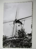 ansichtkaart Rhenen, Molen., Verzenden, 1960 tot 1980, Ongelopen, Utrecht