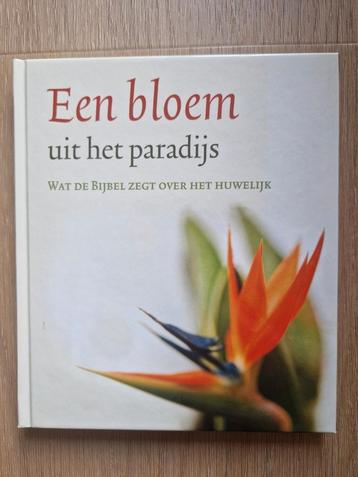 Een bloem uit het paradijs beschikbaar voor biedingen