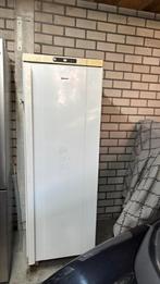 Horeca Koelkast merk Gram, Ophalen, 200 liter of meer, 60 cm of meer, 160 cm of meer