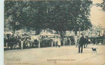 (701-181-047) Haarlem Paardenmarkt beschikbaar voor biedingen
