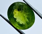 Edelsteen Geel, Groen Olivijn - 7.82 ct met certificaat, Sieraden, Tassen en Uiterlijk, Ophalen of Verzenden, Nieuw