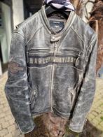 Harley-Davidson Leren Jas - Maat XL - Vintage Look, Motoren, Kleding | Motorkleding, Ophalen, Harley-Davidson, Heren, Jas | leer