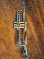 Trompet, Ophalen of Verzenden, Gebruikt, Bes-trompet