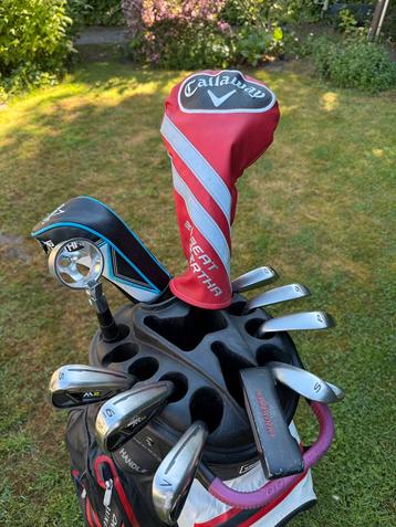 Golfset voor Heren  beschikbaar voor biedingen