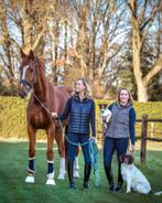 VANAF APR. STAL VRIJ!zadelmak maken / doorrijden en training, Gedragstraining