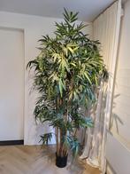 kunstplant bamboe 220cm, Ophalen, Gebruikt, Binnen