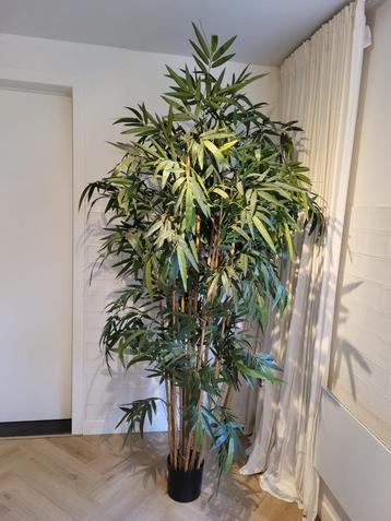 kunstplant bamboe 220cm beschikbaar voor biedingen