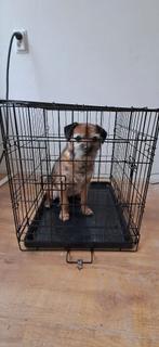 Hondenbench, Ophalen of Verzenden, Zo goed als nieuw