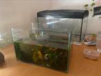 3 aquariums verschillende maten te koop, Dieren en Toebehoren, Vissen | Aquaria en Toebehoren, Ophalen, Gebruikt, Leeg aquarium