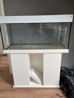 Mooi 1 meter trofis aquarium van 190 liter, Ophalen of Verzenden, Zo goed als nieuw, Leeg aquarium