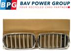GRILLE SET LINKS RECHTS ROOSTER NIEREN NV BMW X5 (F15)