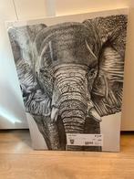 Olifant canvas nieuw, Huis en Inrichting, Woonaccessoires | Schilderijen, Tekeningen en Foto's, Ophalen, Nieuw, Schilderij