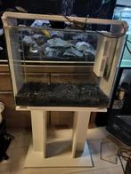 Superfish home 80, Dieren en Toebehoren, Ophalen, Hout, Vogelkooi