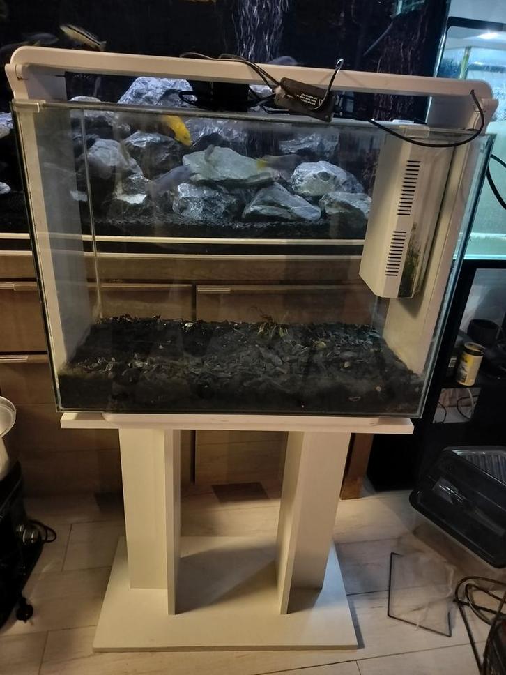 Superfish home 80, Dieren en Toebehoren, Vogels | Hokken en Kooien, Vogelkooi, Hout, Ophalen