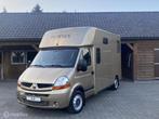 Renault Master Chardon 5 Zit Paardenwagen Paardenvrachtwagen, Dieren en Toebehoren, Paarden en Pony's | Trailers en Aanhangwagens