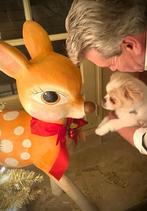 decoratie kind/kerst Bambi papier maché, Ophalen, Gebruikt