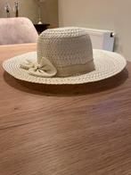 Carnaval Hoed / Muts / Helm - Feestelijk!, Ophalen of Verzenden, Zo goed als nieuw